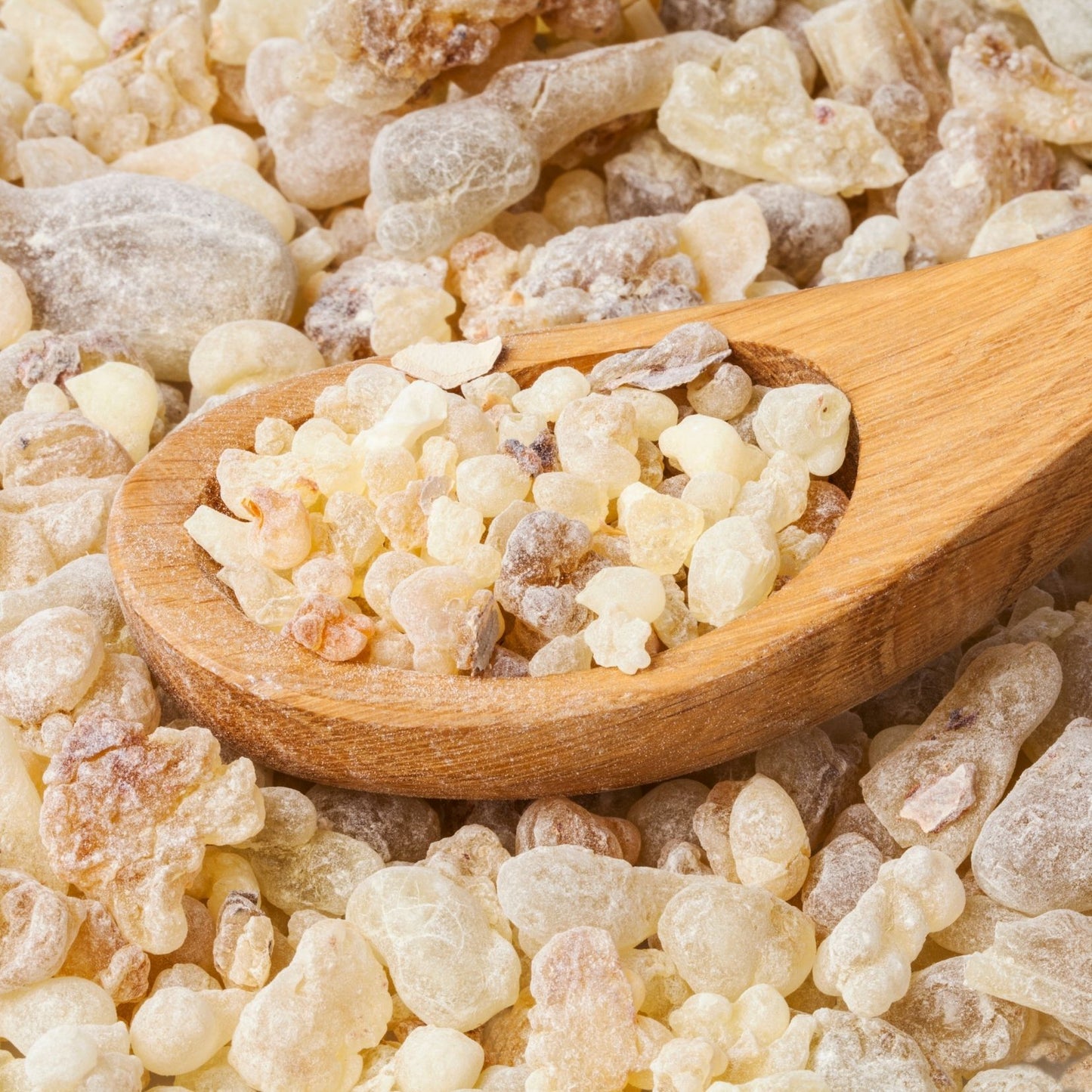 Pure Frankincense Granular Resin Luban Loban Wholesale